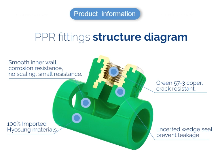 Ifan Customized PPR Pipe Fitting Green Pn25 Plumbing PPR Fitting for Water